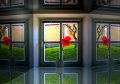 Fenster800